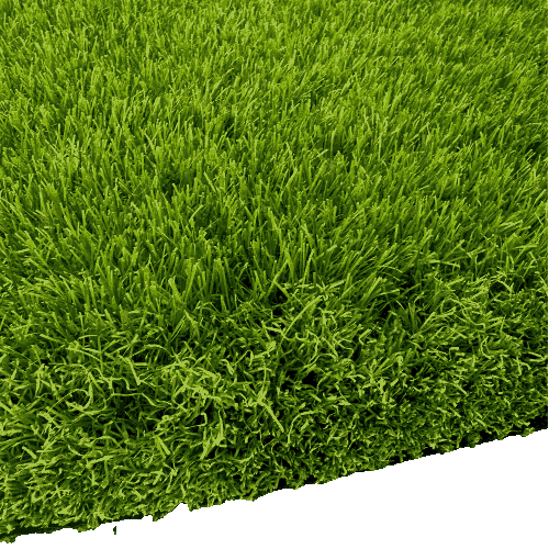 Sports Grass-W01