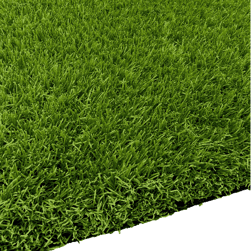 Sports Grass-W02